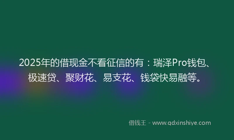 2025年的借现金不看征信的有：瑞泽Pro钱包、极速贷、聚财花、易支花、钱袋快易融等。