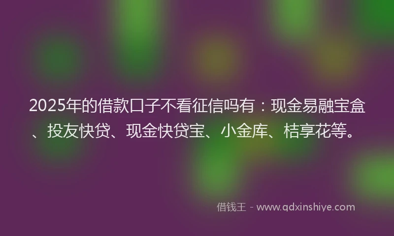 2025年的借款口子不看征信吗有：现金易融宝盒、投友快贷、现金快贷宝、小金库、桔享花等。
