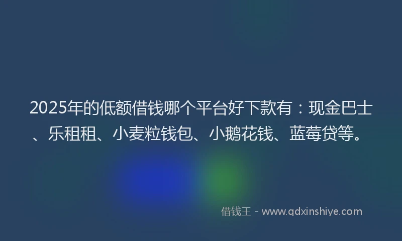 2025年的低额借钱哪个平台好下款有：现金巴士、乐租租、小麦粒钱包、小鹅花钱、蓝莓贷等。
