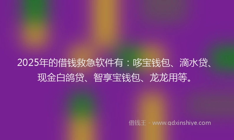 2025年的借钱救急软件有：哆宝钱包、滴水贷、现金白鸽贷、智享宝钱包、龙龙用等。