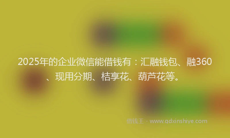 2025年的企业微信能借钱有：汇融钱包、融360、现用分期、桔享花、葫芦花等。
