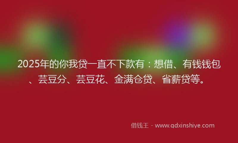 2025年的你我贷一直不下款有：想借、有钱钱包、芸豆分、芸豆花、金满仓贷、省薪贷等。