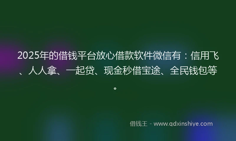 2025年的借钱平台放心借款软件微信有：信用飞、人人拿、一起贷、现金秒借宝途、全民钱包等。