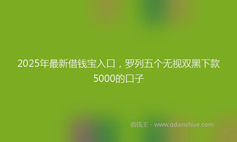 2025年最新借钱宝入口，罗列五个无视双黑下款5000的口子