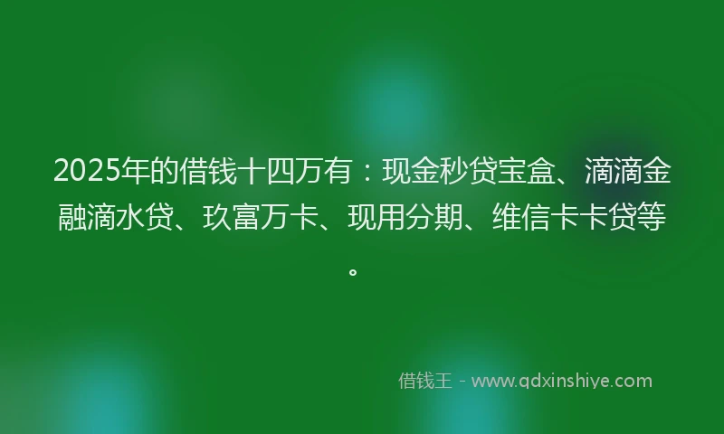 2025年的借钱十四万有：现金秒贷宝盒、滴滴金融滴水贷、玖富万卡、现用分期、维信卡卡贷等。