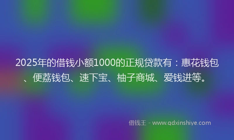 2025年的借钱小额1000的正规贷款有：惠花钱包、便荔钱包、速下宝、柚子商城、爱钱进等。