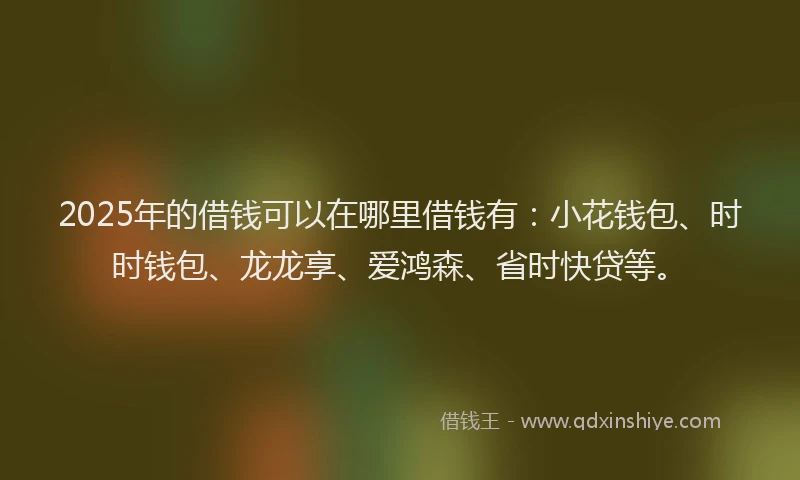 2025年的借钱可以在哪里借钱有：小花钱包、时时钱包、龙龙享、爱鸿森、省时快贷等。