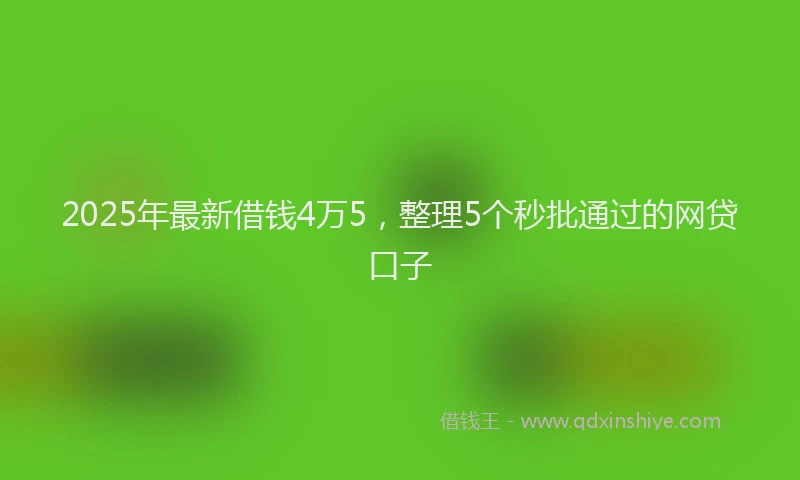 2025年最新借钱4万5，整理5个秒批通过的网贷口子