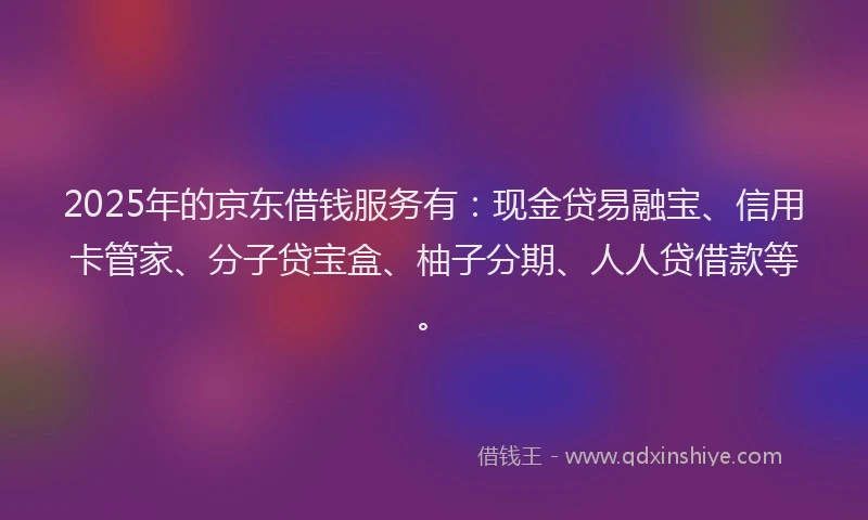 2025年的京东借钱服务有：现金贷易融宝、信用卡管家、分子贷宝盒、柚子分期、人人贷借款等。