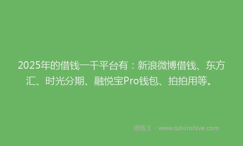 2025年的借钱一千平台有：新浪微博借钱、东方汇、时光分期、融悦宝Pro钱包、拍拍用等。
