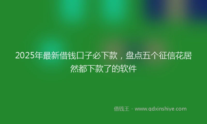 2025年最新借钱口子必下款，盘点五个征信花居然都下款了的软件