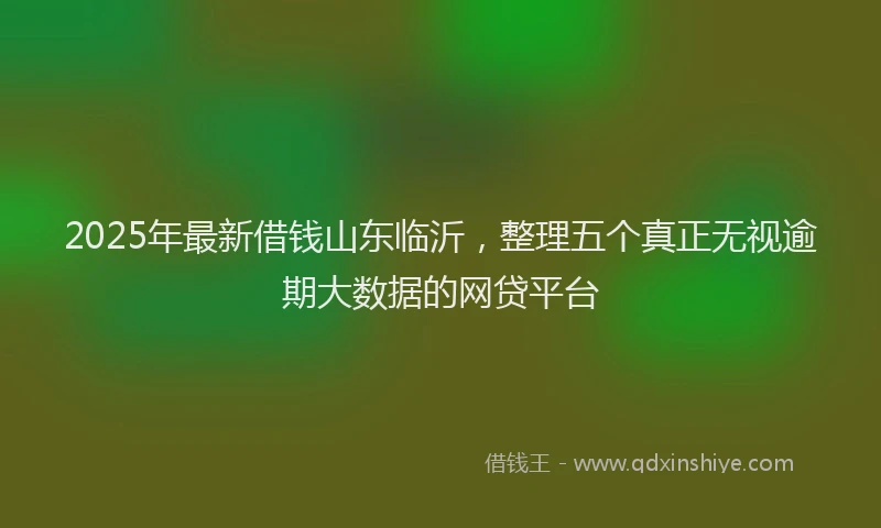 2025年最新借钱山东临沂，整理五个真正无视逾期大数据的网贷平台