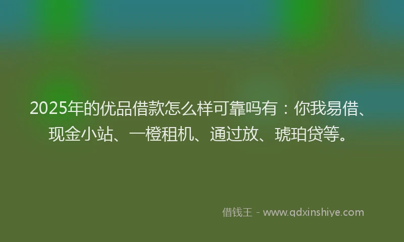 2025年的优品借款怎么样可靠吗有：你我易借、现金小站、一橙租机、通过放、琥珀贷等。