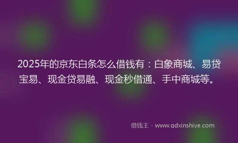 2025年的京东白条怎么借钱有：白象商城、易贷宝易、现金贷易融、现金秒借通、手中商城等。