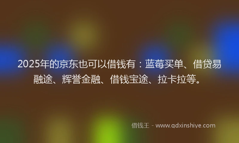 2025年的京东也可以借钱有：蓝莓买单、借贷易融途、辉誉金融、借钱宝途、拉卡拉等。