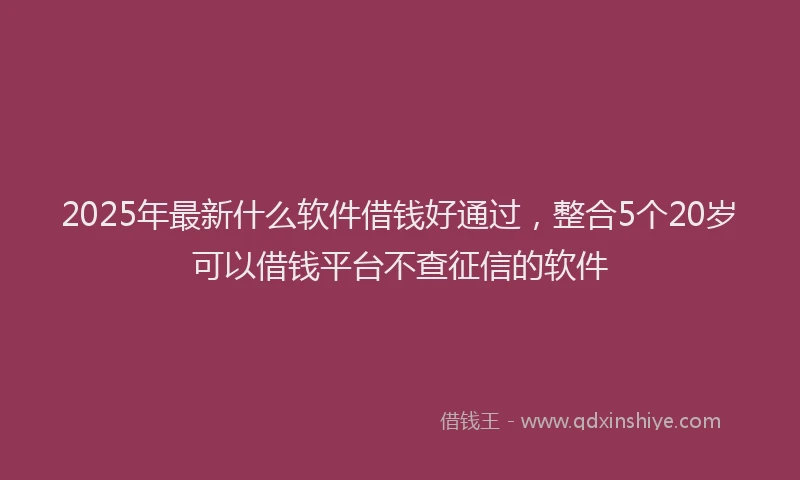 2025年最新什么软件借钱好通过，整合5个20岁可以借钱平台不查征信的软件