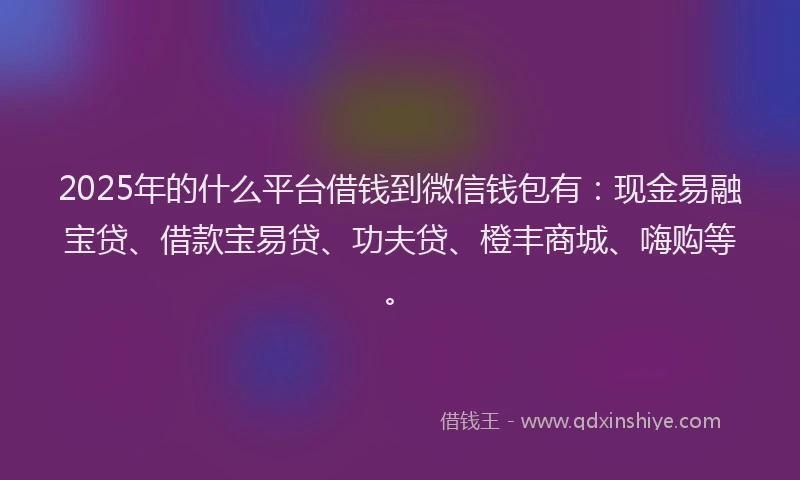 2025年的什么平台借钱到微信钱包有：现金易融宝贷、借款宝易贷、功夫贷、橙丰商城、嗨购等。