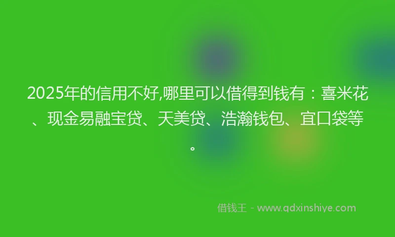 2025年的信用不好,哪里可以借得到钱有：喜米花、现金易融宝贷、天美贷、浩瀚钱包、宜口袋等。