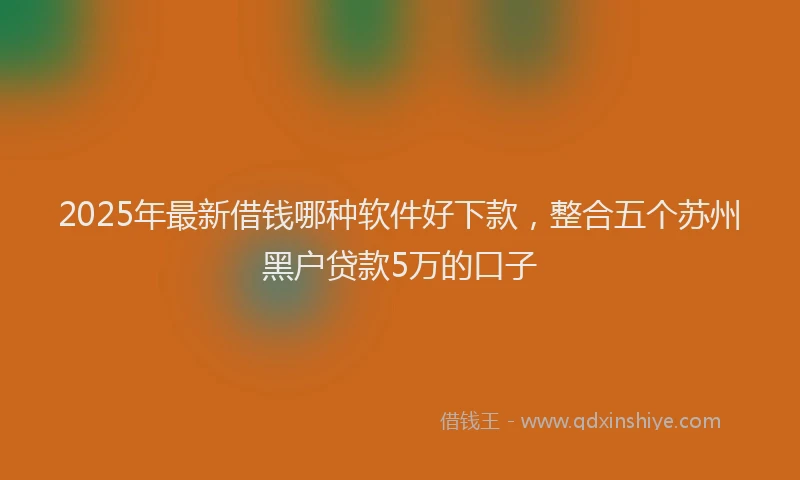 2025年最新借钱哪种软件好下款，整合五个苏州黑户贷款5万的口子