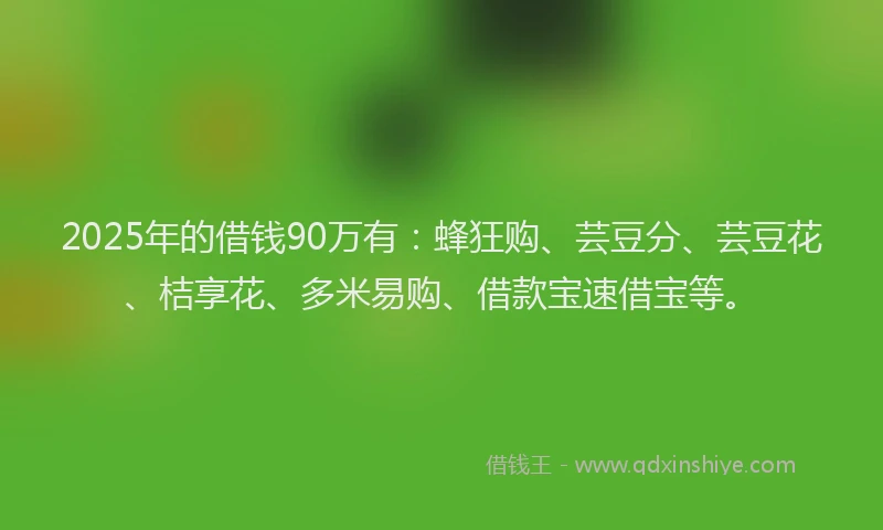2025年的借钱90万有：蜂狂购、芸豆分、芸豆花、桔享花、多米易购、借款宝速借宝等。