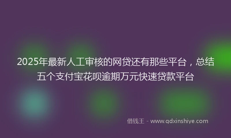 2025年最新人工审核的网贷还有那些平台，总结五个支付宝花呗逾期万元快速贷款平台