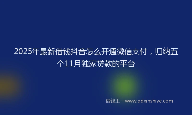 2025年最新借钱抖音怎么开通微信支付，归纳五个11月独家贷款的平台