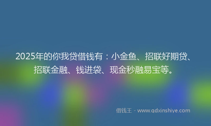 2025年的你我贷借钱有：小金鱼、招联好期贷、招联金融、钱进袋、现金秒融易宝等。
