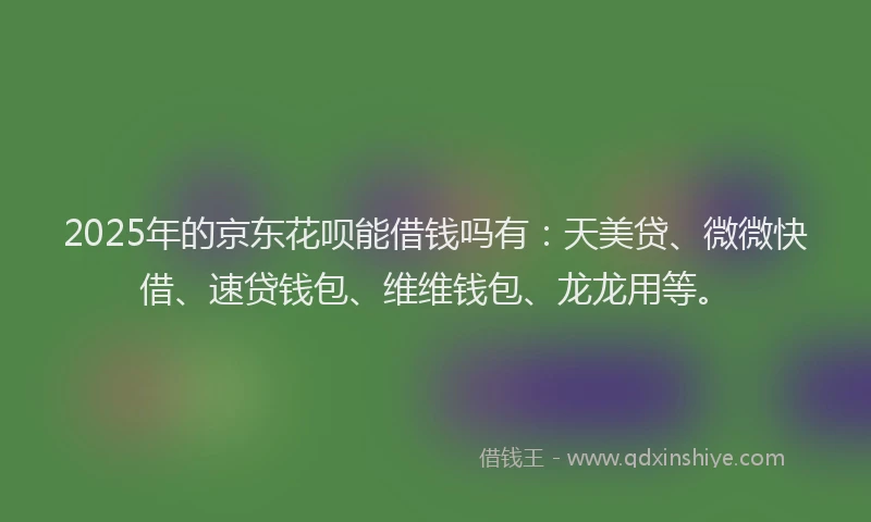 2025年的京东花呗能借钱吗有：天美贷、微微快借、速贷钱包、维维钱包、龙龙用等。