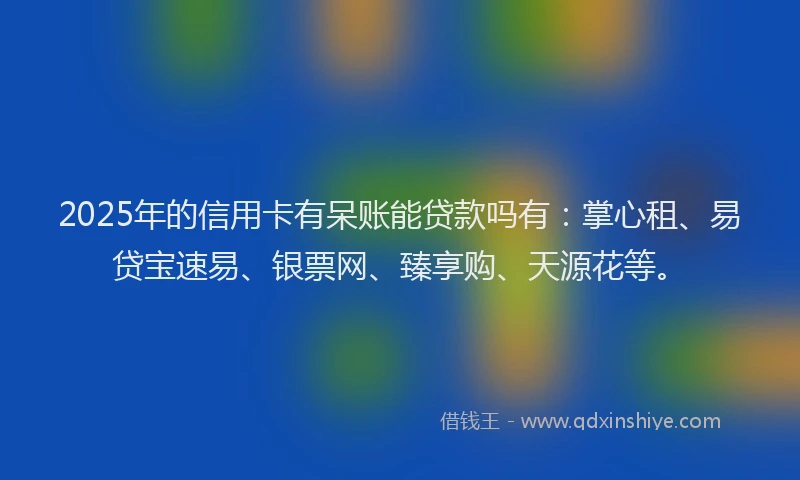 2025年的信用卡有呆账能贷款吗有：掌心租、易贷宝速易、银票网、臻享购、天源花等。