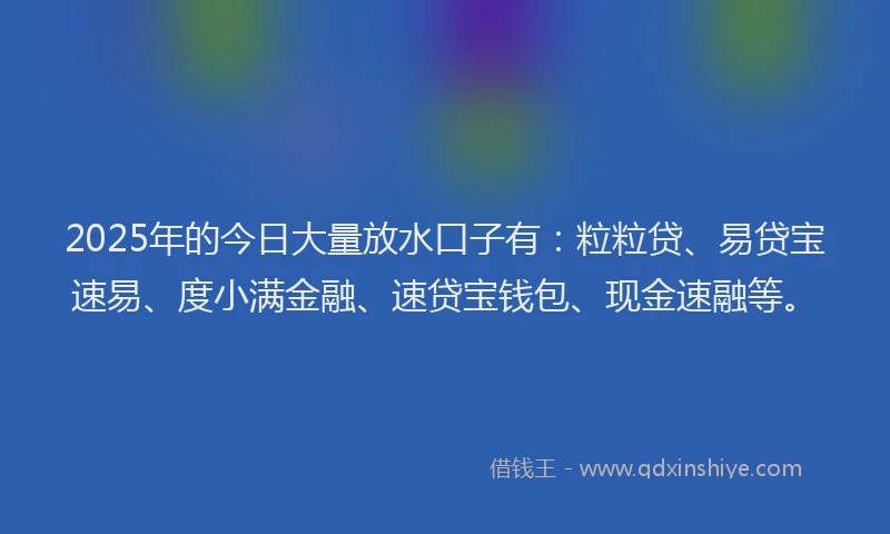 2025年的今日大量放水口子有：粒粒贷、易贷宝速易、度小满金融、速贷宝钱包、现金速融等。