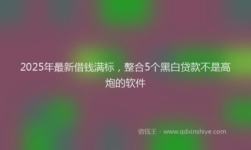 2025年最新借钱满标，整合5个黑白贷款不是高炮的软件