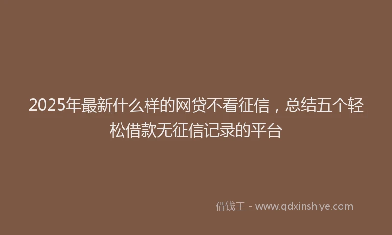2025年最新什么样的网贷不看征信，总结五个轻松借款无征信记录的平台