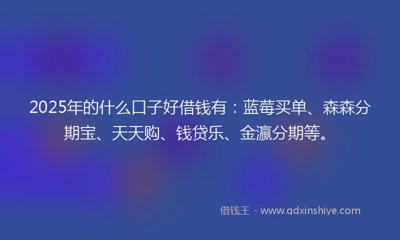 2025年的什么口子好借钱有：蓝莓买单、森森分期宝、天天购、钱贷乐、金瀛分期等。