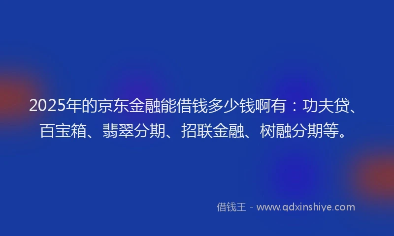 2025年的京东金融能借钱多少钱啊有：功夫贷、百宝箱、翡翠分期、招联金融、树融分期等。