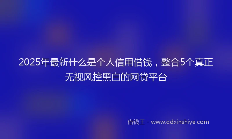 2025年最新什么是个人信用借钱，整合5个真正无视风控黑白的网贷平台