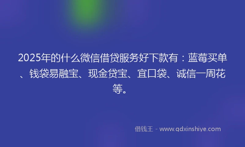 2025年的什么微信借贷服务好下款有：蓝莓买单、钱袋易融宝、现金贷宝、宜口袋、诚信一周花等。
