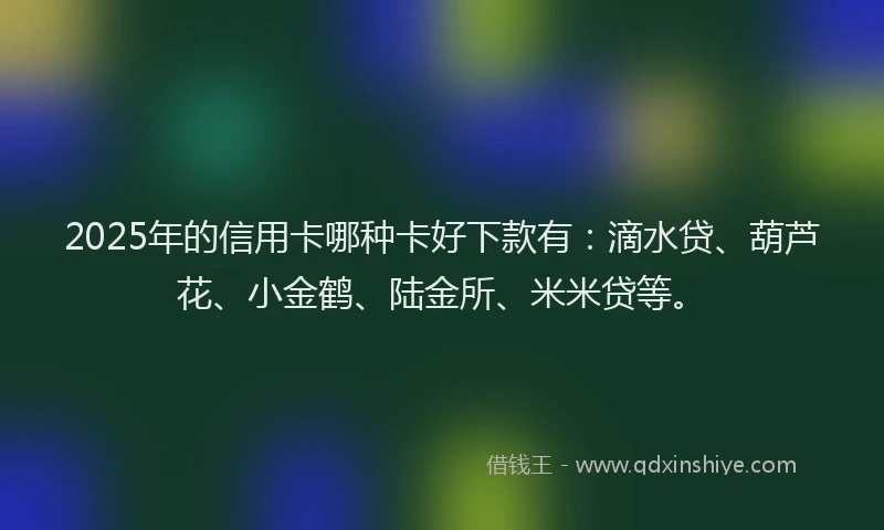 2025年的信用卡哪种卡好下款有：滴水贷、葫芦花、小金鹤、陆金所、米米贷等。