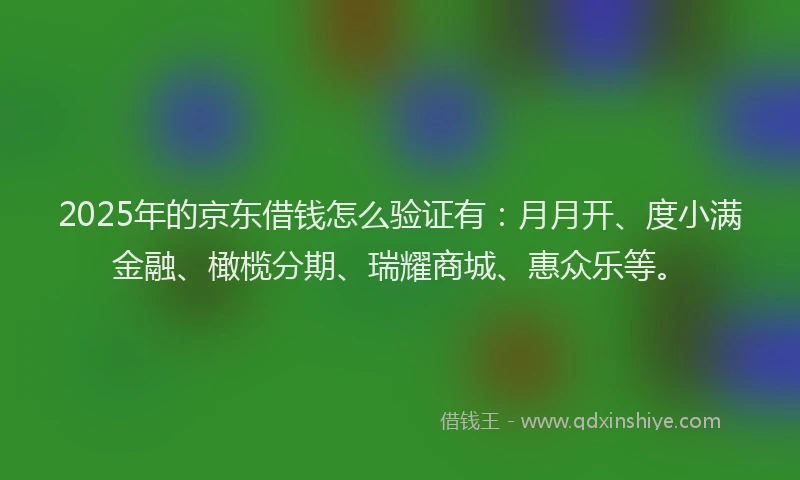 2025年的京东借钱怎么验证有：月月开、度小满金融、橄榄分期、瑞耀商城、惠众乐等。