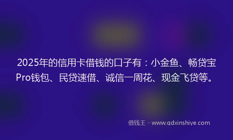 2025年的信用卡借钱的口子有：小金鱼、畅贷宝Pro钱包、民贷速借、诚信一周花、现金飞贷等。