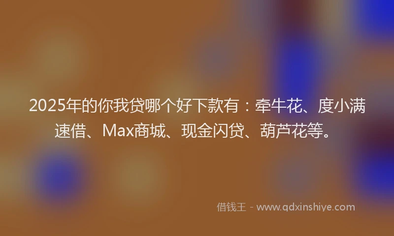 2025年的你我贷哪个好下款有：牵牛花、度小满速借、Max商城、现金闪贷、葫芦花等。