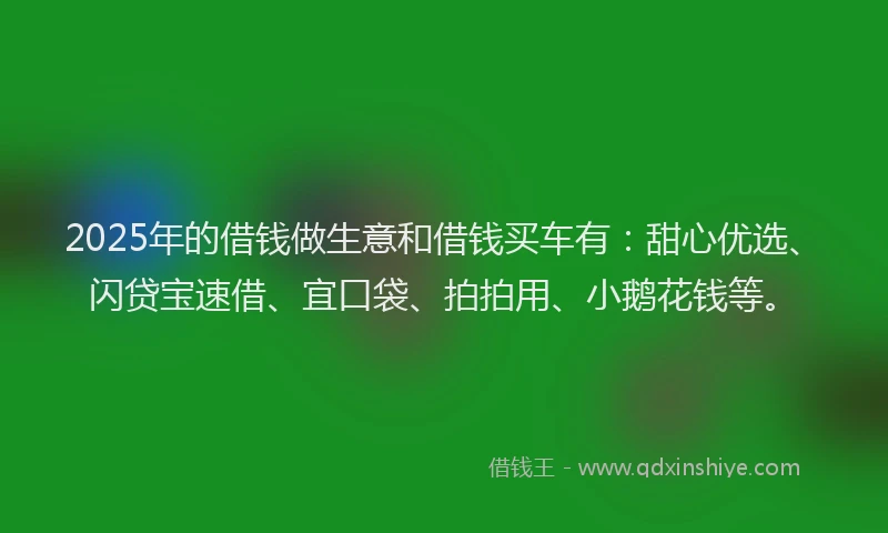 2025年的借钱做生意和借钱买车有：甜心优选、闪贷宝速借、宜口袋、拍拍用、小鹅花钱等。