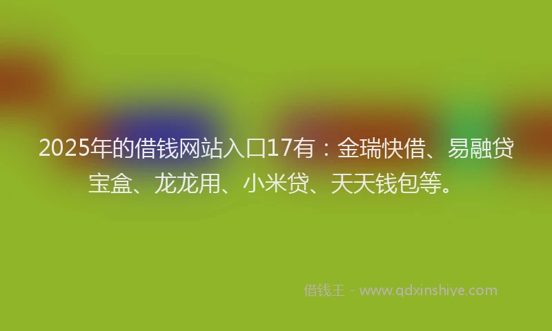 2025年的借钱网站入口17有：金瑞快借、易融贷宝盒、龙龙用、小米贷、天天钱包等。