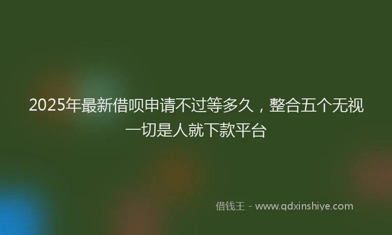 2025年最新借呗申请不过等多久，整合五个无视一切是人就下款平台