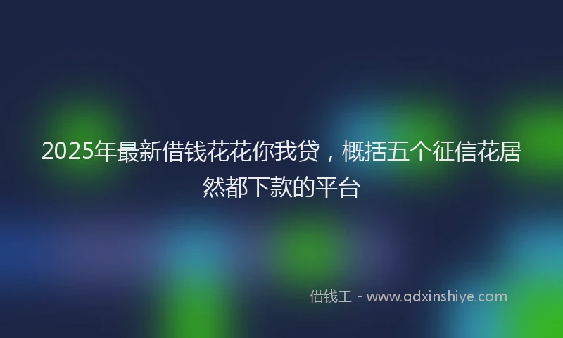 2025年最新借钱花花你我贷，概括五个征信花居然都下款的平台