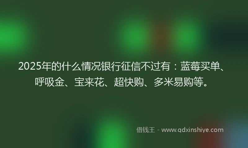 2025年的什么情况银行征信不过有：蓝莓买单、呼吸金、宝来花、超快购、多米易购等。