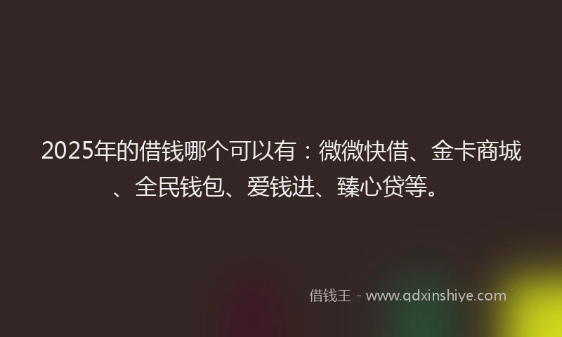 2025年的借钱哪个可以有：微微快借、金卡商城、全民钱包、爱钱进、臻心贷等。