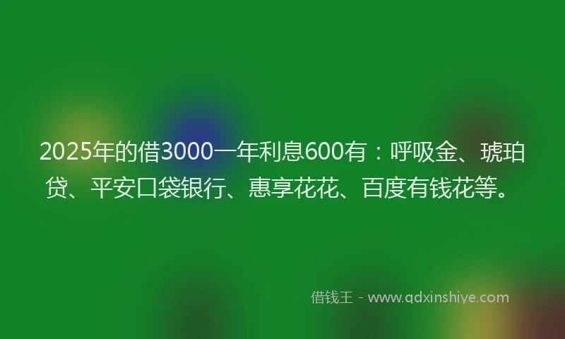 2025年的借3000一年利息600有：呼吸金、琥珀贷、平安口袋银行、惠享花花、百度有钱花等。