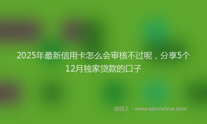 2025年最新信用卡怎么会审核不过呢，分享5个12月独家贷款的口子