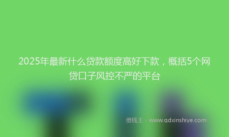 2025年最新什么贷款额度高好下款，概括5个网贷口子风控不严的平台