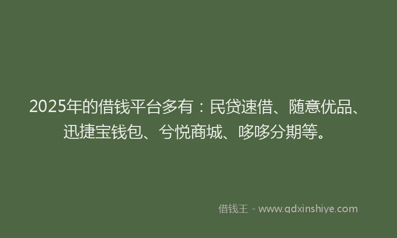 2025年的借钱平台多有：民贷速借、随意优品、迅捷宝钱包、兮悦商城、哆哆分期等。